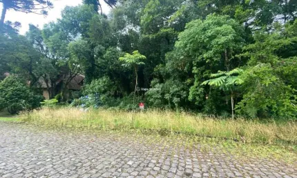 Terreno à venda na Carlos Felipe Spindler, Bosque Sinoserra, Canela por R$ 768.500