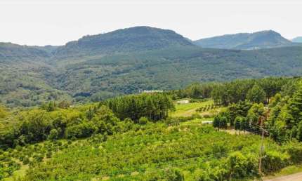 Terreno à venda na Quilombo Alto, 100, Quilombo Alto, Gramado por R$ 7.700.000