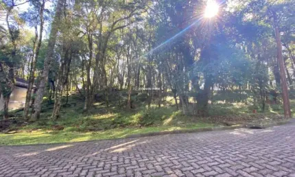 Terreno em condomínio fechado à venda na 01, 3, Parque Pinheiro Grosso, Canela por R$ 650.000