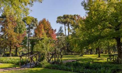 Casa com 3 quartos à venda na Florida, 2, Parque Laje da Pedra, Canela por R$ 3.180.000