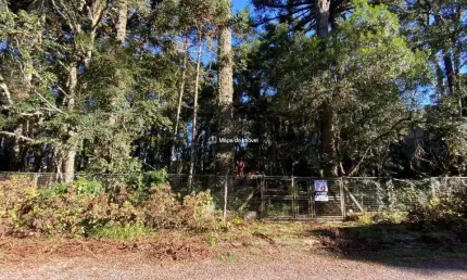 Terreno à venda na Dona Luiza Correa, 544, Suzana, Canela por R$ 2.650.000