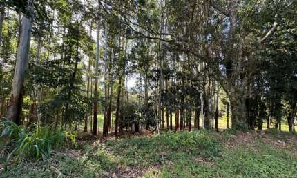 Chácara / sítio à venda na Morro Agudo, 1, Serra Grande, Gramado por R$ 450.000