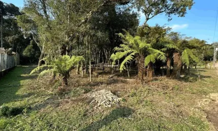 Terreno à venda na rua severino inocente zini, 2020202, jardim mariana, canela por r$ 775.000