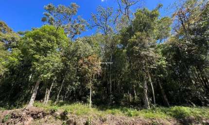Terreno em condomínio fechado à venda na d, 6, Vila Nova de Gaia, Gramado por R$ 940.000