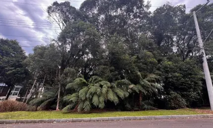 Terreno em condomínio fechado à venda na laurindo comiotto, 60, lagos de gramado, gramado por r$ 819.000
