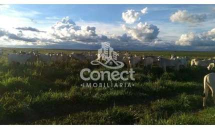 Fazenda à venda na Zona Rural, Baianópolis 