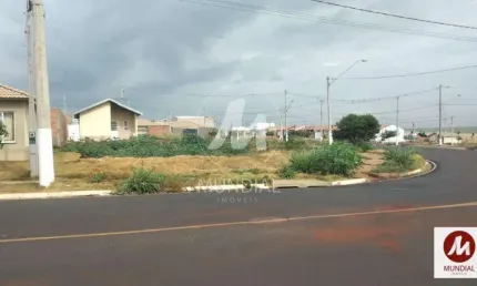 Loft à venda na Rua Benedito Marques Da Silva 500 (66353mv), Parque das Oliveiras, Ribeirão Preto
