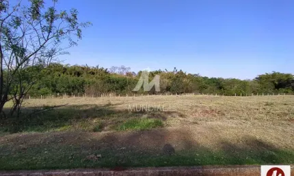 Casa comercial à venda na Rua Iria Alves 0 (68821mv), Jardim Emilia, Ribeirão Preto