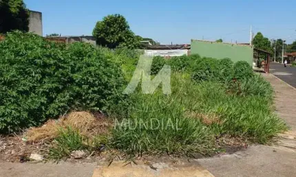 Casa comercial à venda na Rua Belgica 0 (71931mv), Vila Elisa, Ribeirão Preto