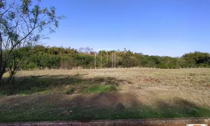 Casa comercial à venda na Rua Iria Alves 0 (68821sv), Jardim Emilia, Ribeirão Preto