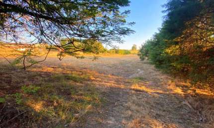 Terreno à venda, 6000 m² - Videiras - Indaiatuba/SP