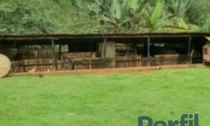 Chácara / sítio com 4 quartos à venda no Ipelândia, Suzano  por R$ 900.000