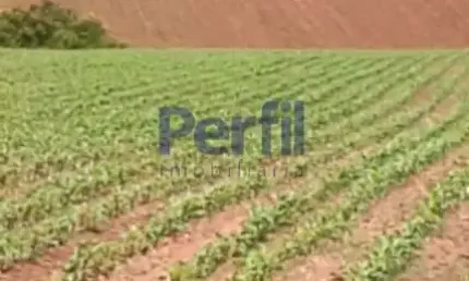 Chácara / sítio à venda no centro, soledade de minas  por r$ 1.400.000