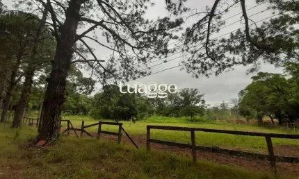 Sítio para Venda - 120217m², 0 dormitórios, Campo Novo