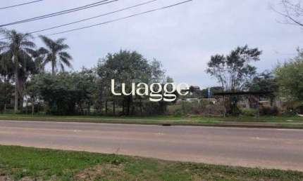 Terreno à venda na Estrada Jorge Pereira Nunes, 457, Campo Novo, Porto Alegre