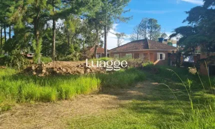 Terreno à venda na Rua Amapá, 1262, Vila Nova, Porto Alegre