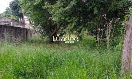 Terreno à venda na Rua Doutor Mário Totta, 2808, Tristeza, Porto Alegre
