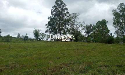 Chácara / sítio com 3 quartos à venda na Estrada Passo Do Custódio, 14552, Flórida, Guaíba
