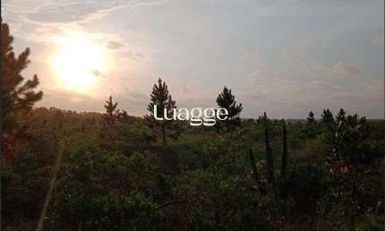 Chácara / sítio à venda na Estrada Rs 784, 84, Zona Rural, Cidreira
