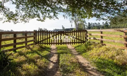 Chácara / sítio com 3 quartos à venda na Beco Da Cegonha, 2100, Estância Grande, Viamão