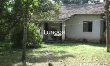 Sítio para Venda com 5000m² e 3 dormitórios no bairro Lami