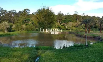 Chácara / sítio com 1 quarto à venda na Estrada Do Canta Galo, 6169, Fiuza, Viamão