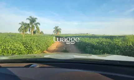 Chácara / sítio com 3 quartos à venda na Osvaldo Aranha Br 290, 226, Medianeira, Eldorado do Sul