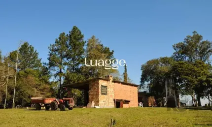 Chácara / sítio com 3 quartos à venda na Estrada da Estancia Grande, 573, Estância Grande, Viamão