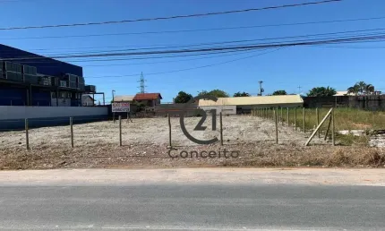 Terreno com 1.205m² de Frente para a BR-101 – Excelente Oportunidade!