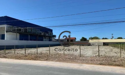 Terreno estratégico de frente para a BR-101 — 600 m² prontos para o seu projeto!