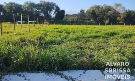 Terreno medindo 10 x 25 metros a venda no Parque São Domingos em Pindamonhangaba SP