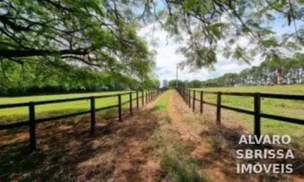 Haras com 3 dormitórios à venda, 798600 m² por R$ 18.900.000,00 - Chapadão - Porto Feliz/SP