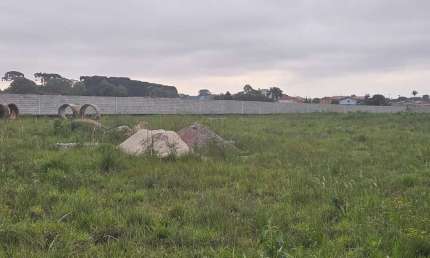 Terreno para Locação em São José dos Pinhais, Rio Pequeno