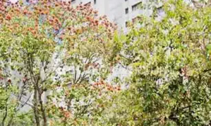 Apartamento com 4 quartos à venda na Avenida Princesa D'Oeste, 1295, Jardim Proença, Campinas, 156 m2 por R$ 870.000