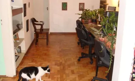 Apartamento com 3 quartos à venda na Rua Doutor Rafael de Barros, 253, Paraíso, São Paulo