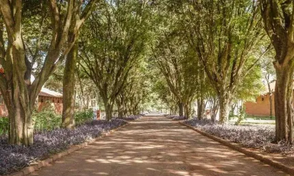 Lote/Terreno para venda com 880 metros quadrados em Residencial Haras Patente - Jaguariúna - SP