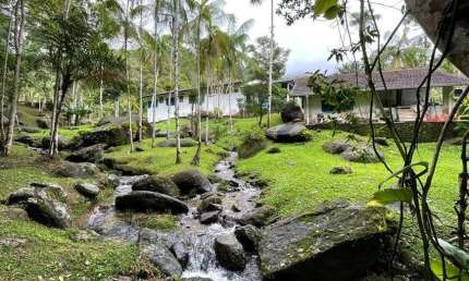 Sítio à venda no Santa Rita do Ribeira em Miracatu - SP.