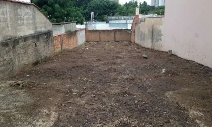 Lote/Terreno para venda possui 354 metros quadrados em Cambuí - Campinas - SP