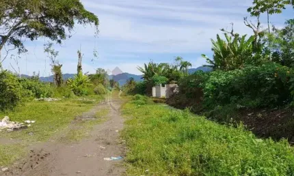 Terreno à venda no bairro jardim das palmeiras em caraguatatuba/sp