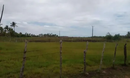 TerrenoÁrea à venda, Povoado Touro - Barra dos Coqueiros/SE