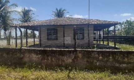 Sítio à Venda em Itabaiana: Seu Refúgio Verde Próximo à Cidade