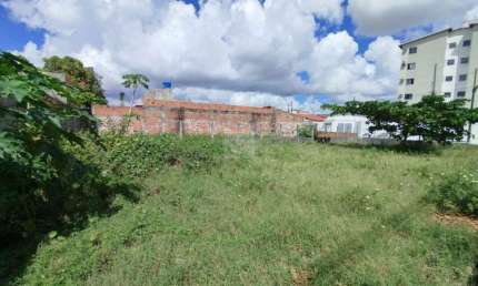 Terreno para aluguel no Bairro São Braz , Nossa Senhora do Socorro