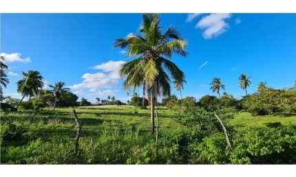 Oportunidade de Investimento: Área no Robalo, Aracaju!