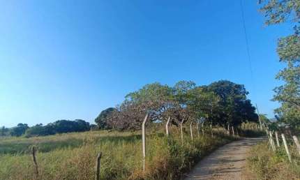 Chácara / sítio à venda na São Domingos, Centro, São Domingos