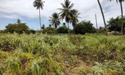 Invista no Futuro: Ampla Área de 51.425,90m² no Mosqueiro, Aracaju!