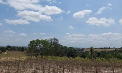 Terreno à venda na Colonia Santo Izidoro, Área Rural de Malhador, Malhador