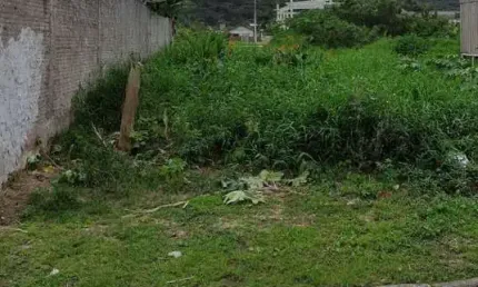 Terreno à venda na Rua Vereador Manoel José dos Santos, Bombas, Bombinhas