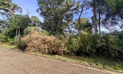 Terreno à venda no bairro carniel com 616 m² de área privativa