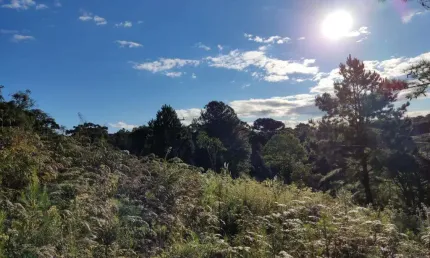Terreno à venda no bairro morada da serra com 636 m² de área privativa