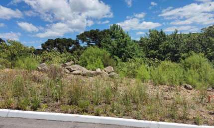 Terreno à venda no Bairro Moura com 450 m² de área privativa